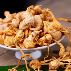 散装干货孢子头蛹虫草 厂家农产品北排草 批发新货内蒙虫草花