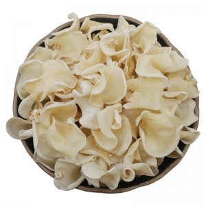 东北白玉木耳干货无根秋耳小碗耳白木耳银耳食用农产品