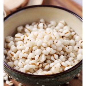 白薏米煲粥可搭红豆红枣薏仁米红豆薏米粥营养粥早餐粥五谷杂粮