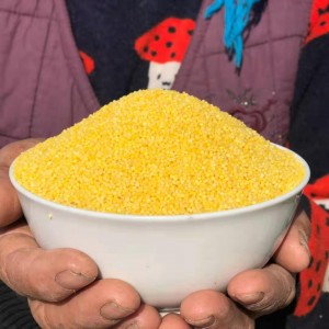 新米煮粥出油新鲜小米五谷杂粮现货新货